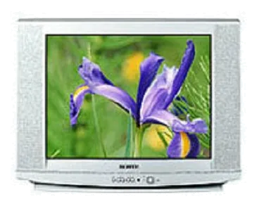Замена блока питания Samsung CS-29U2 WTQR